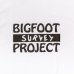 画像2: sale tacoma fuji records / BIGFOOT SURVEY PROJECT T shirt (A) (2)