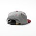 画像3: tacoma fuji records / TACOMA FUJI LOGO 2TONE CAP (3)