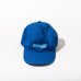 画像4: tacoma fuji records / DUB CAT CAP