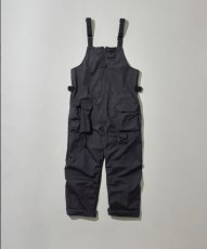 画像1: Mountain Research / Phishing Overall (1)