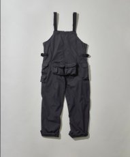 画像2: Mountain Research / Phishing Overall (2)