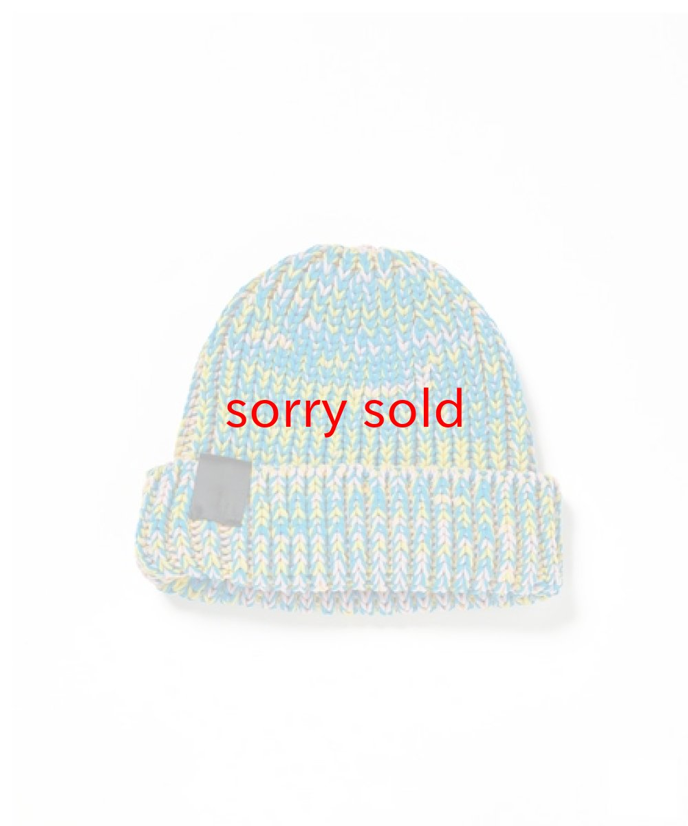 画像1: n.hoolywood / エヌハリウッド BEANIE WATCH CAP (1)