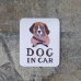 画像1: tempra/テンプラ DOG IN CAR マグネット (1)