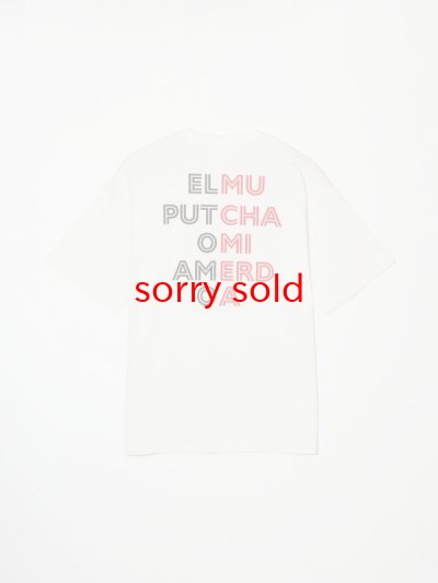 画像2: sale BUENA VISTA/ブエナビスタ  Picaso tee