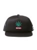画像1: wackomaria  / ワコマリア HIGHTIMES / MESH CAP (1)