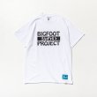 画像1: sale tacoma fuji records / BIGFOOT SURVEY PROJECT T shirt (A)