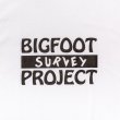 画像2: sale tacoma fuji records / BIGFOOT SURVEY PROJECT T shirt (A)