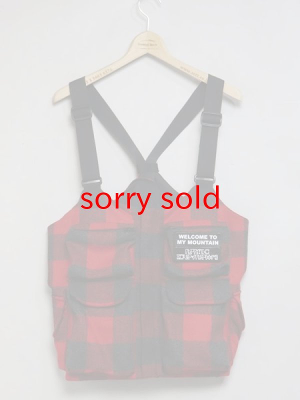 画像1: セール価格お問い合わせください。mountain research / Phishing Vest