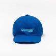 画像1: tacoma fuji records / DUB CAT CAP