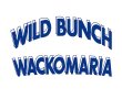 画像5: wackomaria  / ワコマリア WILD BUNCH / REVERSIBLE BOA FLEECE JACKET