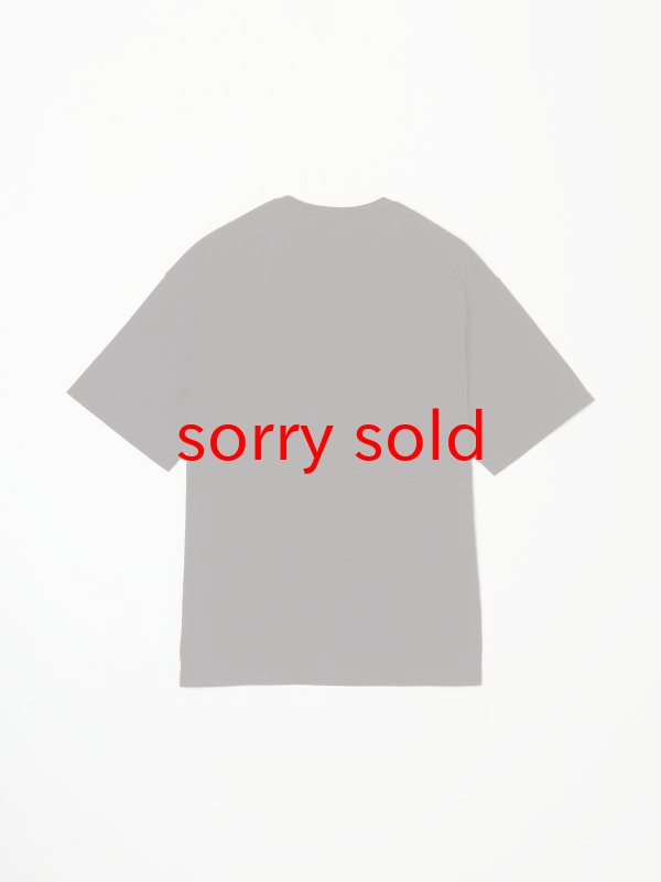 画像4: sale BUENA VISTA/ブエナビスタ  ぶっちぎりBV tee