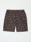 画像3: sale BUENA VISTA/ブエナビスタ Leopard half pants 