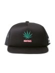 画像1: wackomaria  / ワコマリア HIGHTIMES / MESH CAP